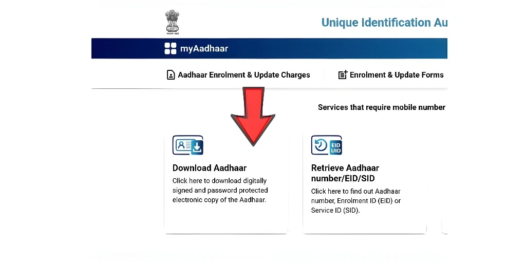Aadhaar Download 2026 – Fast & Secure Easy Guide Now Free!